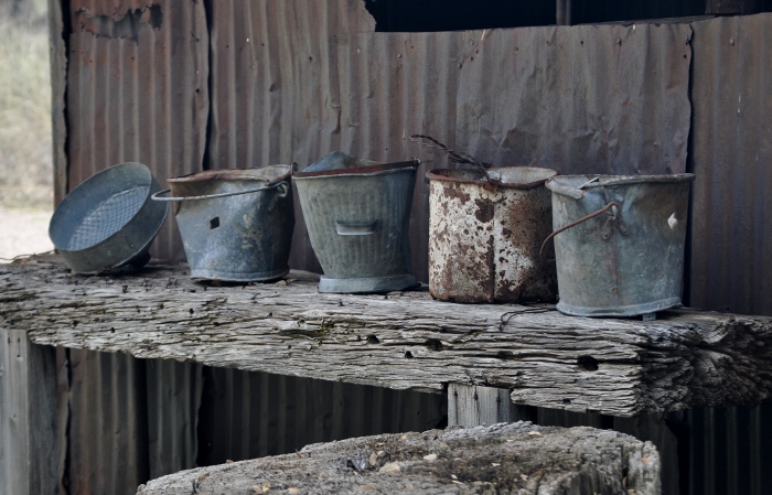 milk pails lined up